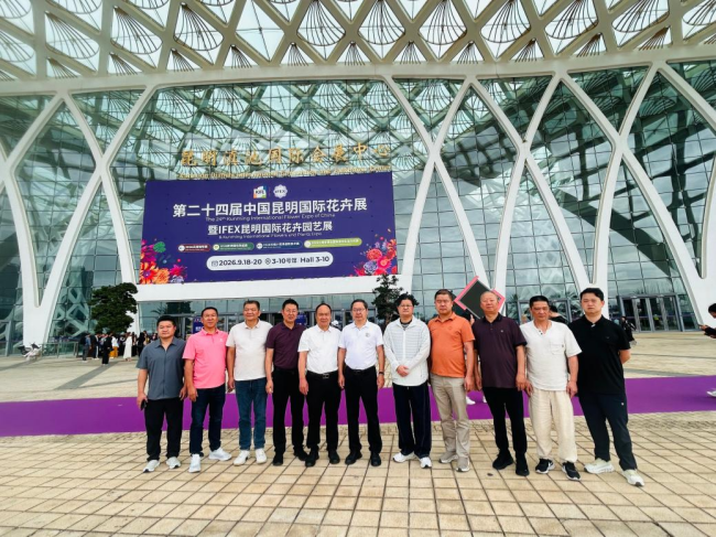 图片8.png